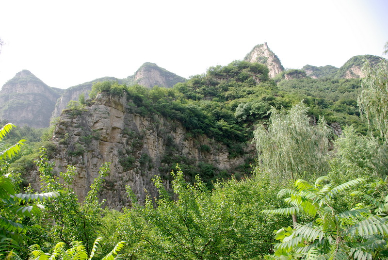 精品人妻无码视频中文字幕一区二区三区