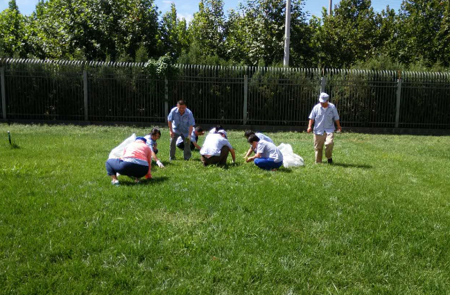 精品人妻无码视频中文字幕一区二区三区