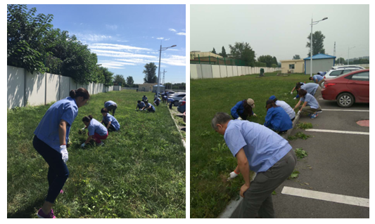 精品人妻无码视频中文字幕一区二区三区