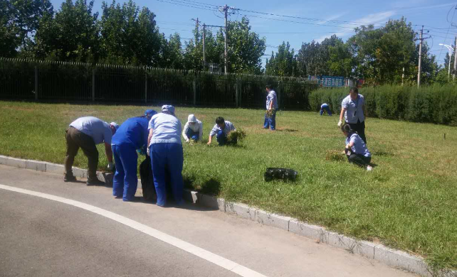 精品人妻无码视频中文字幕一区二区三区