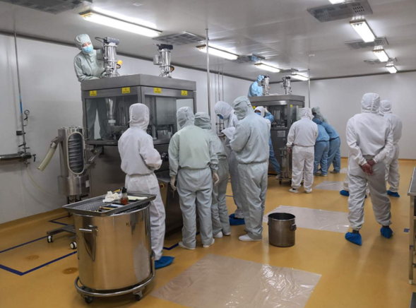 精品人妻无码视频中文字幕一区二区三区