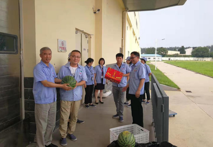 精品人妻无码视频中文字幕一区二区三区