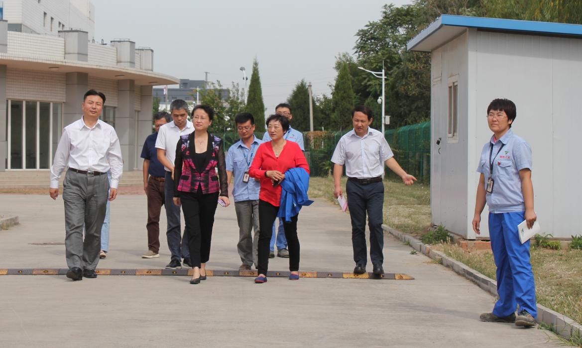 精品人妻无码视频中文字幕一区二区三区