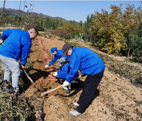 精品人妻无码视频中文字幕一区二区三区