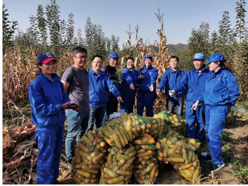 精品人妻无码视频中文字幕一区二区三区