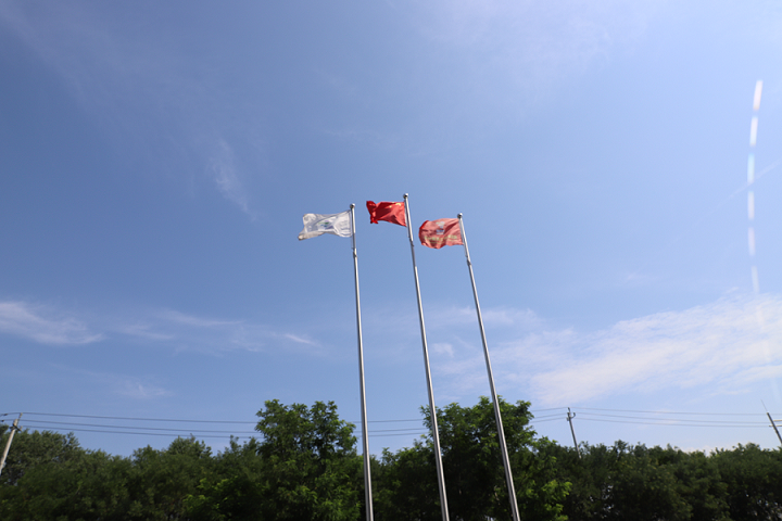 精品人妻无码视频中文字幕一区二区三区