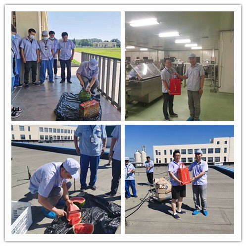 精品人妻无码视频中文字幕一区二区三区