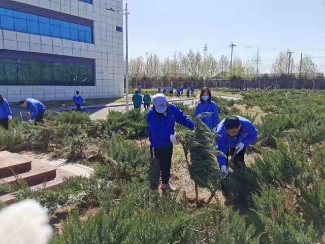 精品人妻无码视频中文字幕一区二区三区