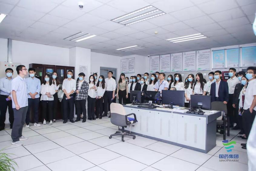 精品人妻无码视频中文字幕一区二区三区