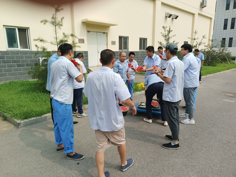 精品人妻无码视频中文字幕一区二区三区